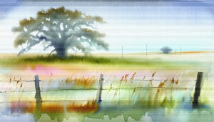 Summer Field landscape watercolor 70x40 by Sam Schwartz